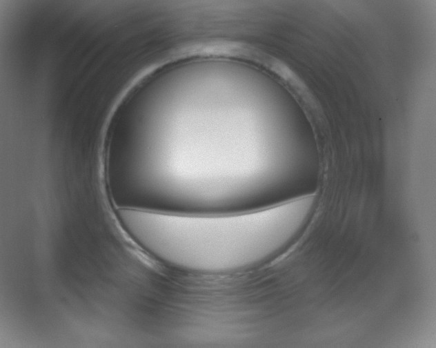 X0000070241232200606020924