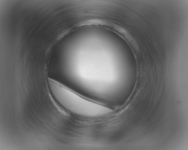 X0000070241233200606020924