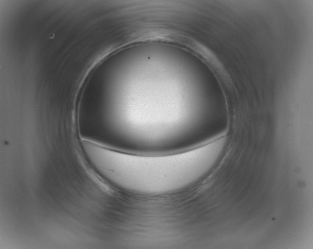 X0000070241234200606020924