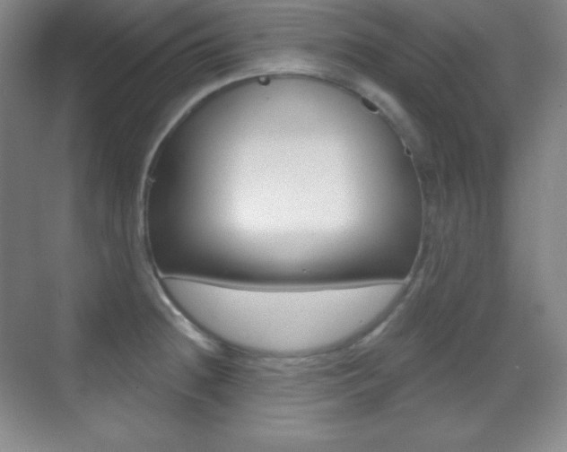 X0000070241236200606020924