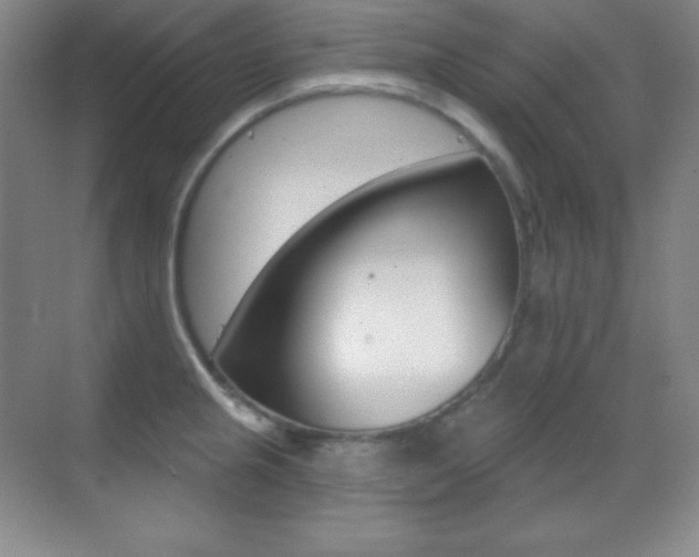 X0000070241237200606020924