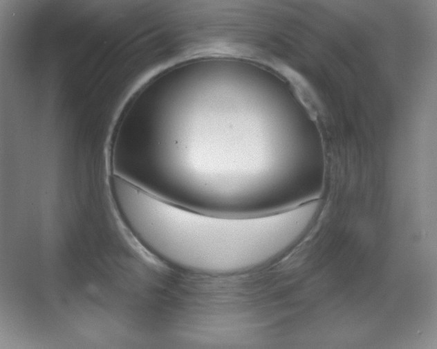 X0000070241238200606020924