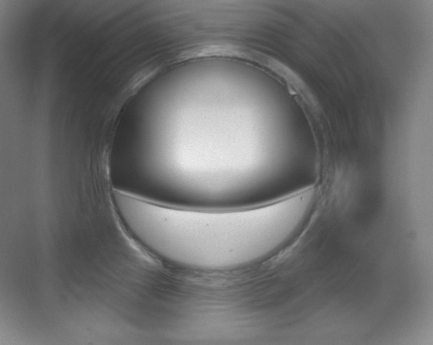X0000070241241200606020924