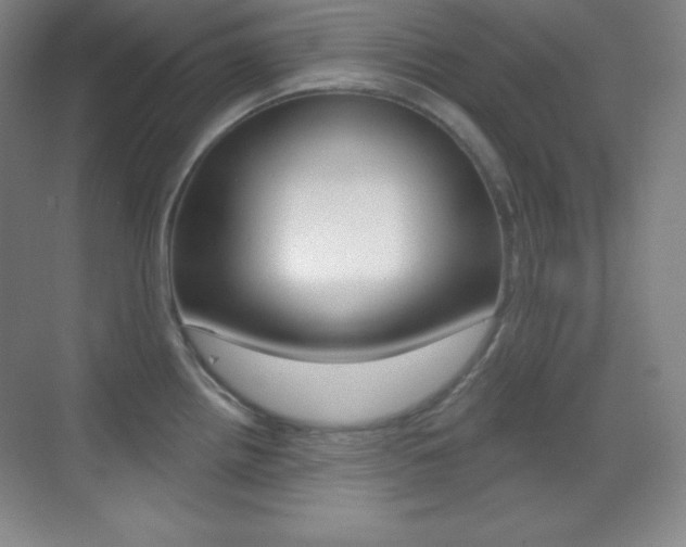 X0000070241242200606020924
