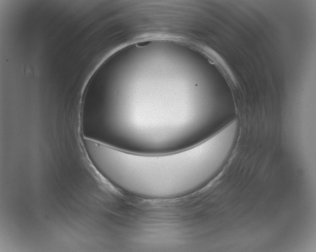 X0000070241244200606020924