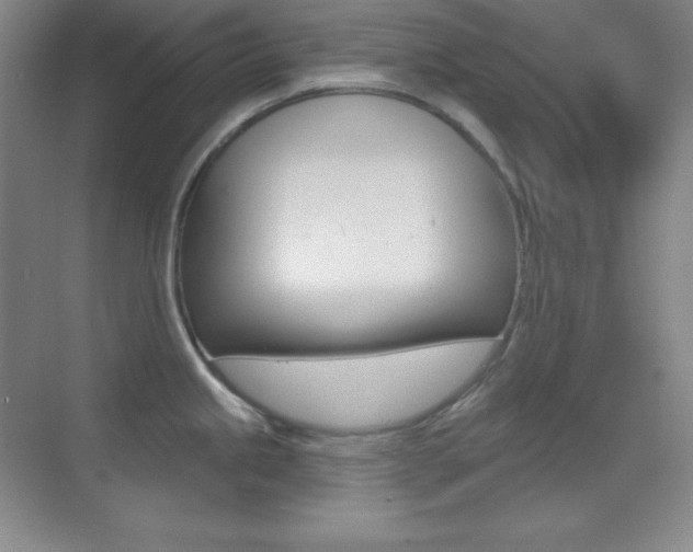 X0000070241245200606020924