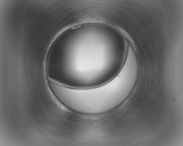 X0000070241246200606020924