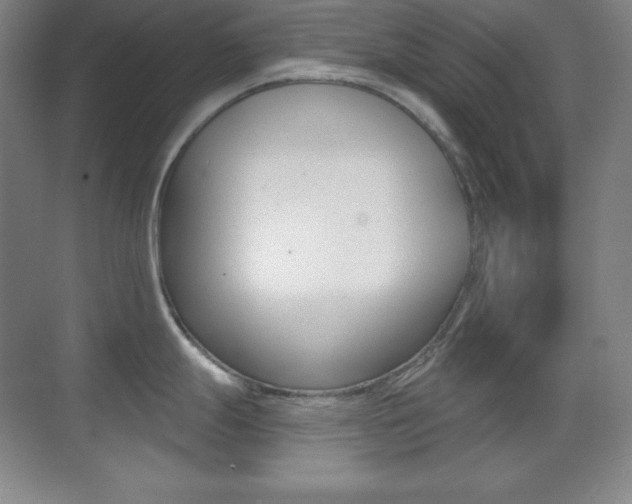 X0000070241247200606020924