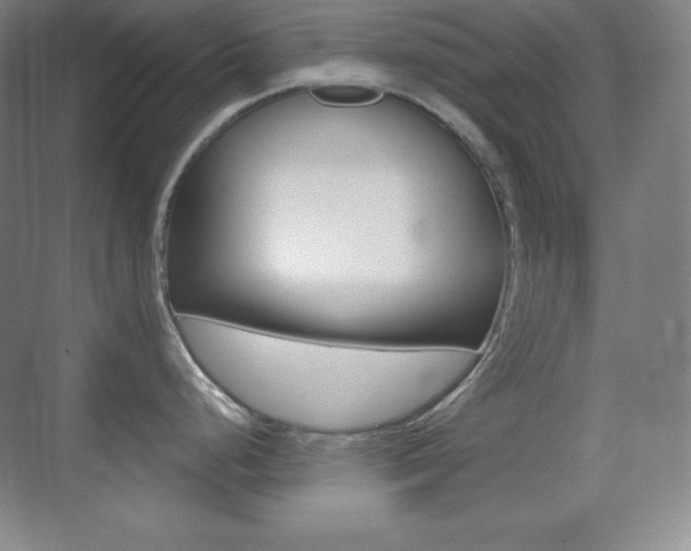 X0000070241248200606020924