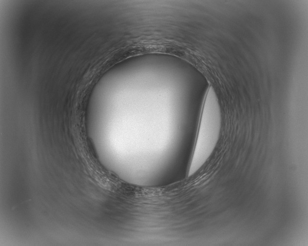 X0000070241249200606020924