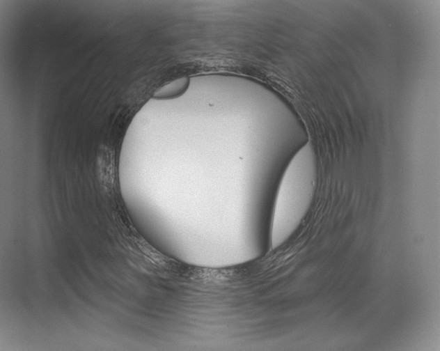 X0000070241251200606020924