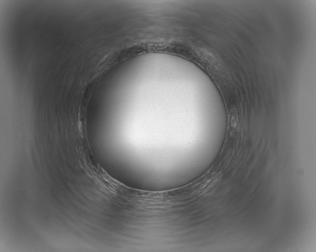 X0000070241252200606020924