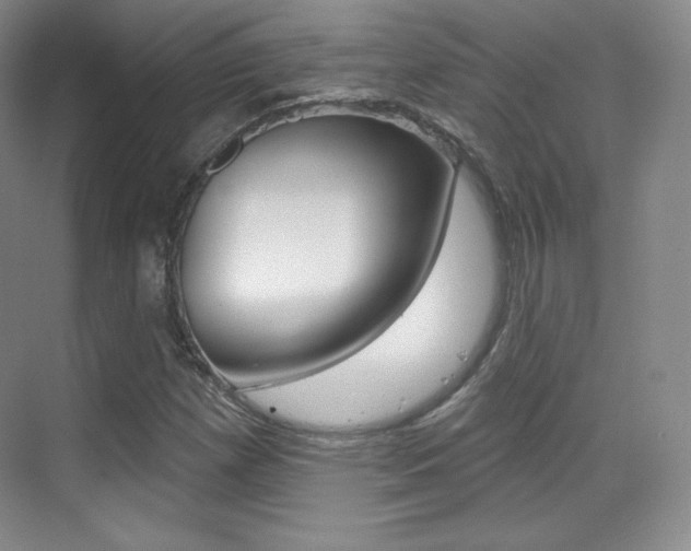 X0000070241257200606020923