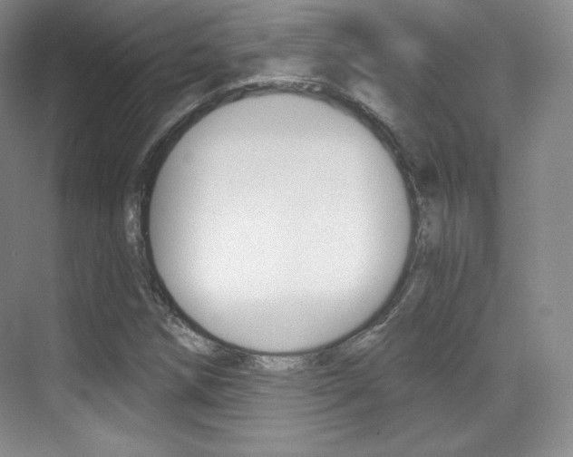 X0000070241258200606020923