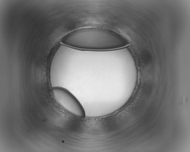 X0000070241259200606020923