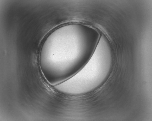 X0000070241260200606020923