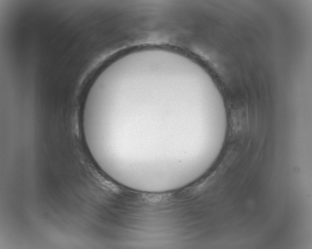 X0000070241262200606020923
