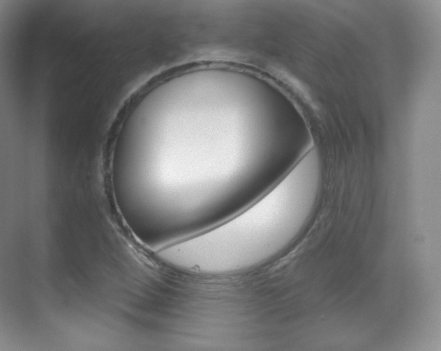 X0000070241264200606020923