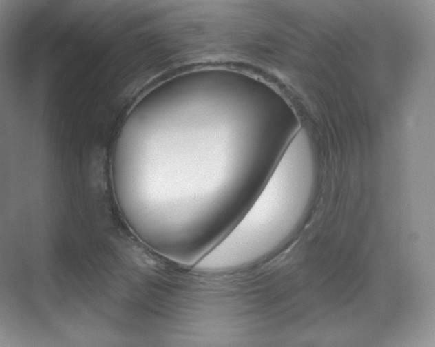 X0000070241265200606020923