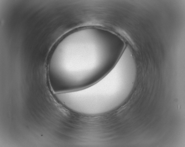 X0000070241268200606020923