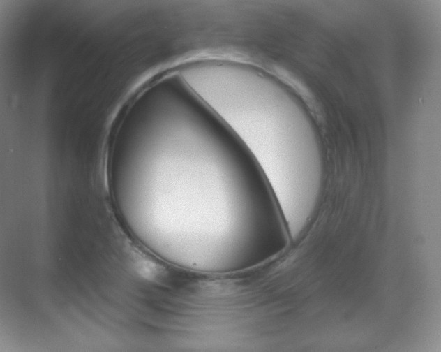 X0000070241272200606020923