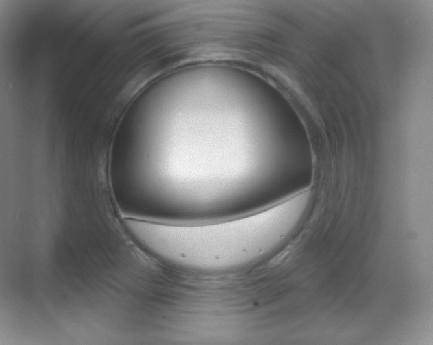 X0000070241273200606020923