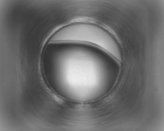 X0000070241277200606020923