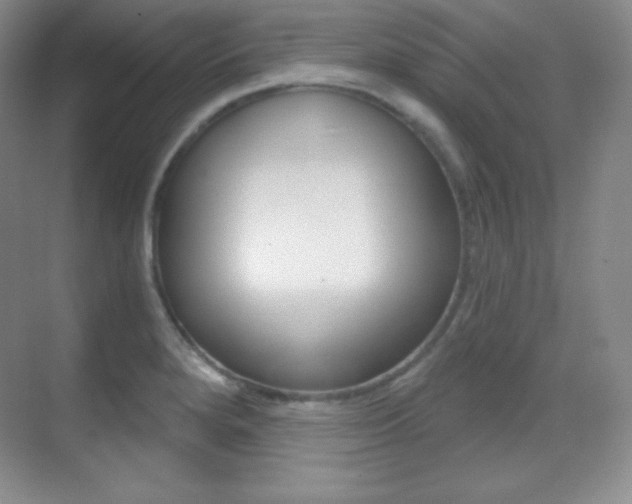 X0000070241280200606020923