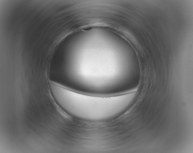 X0000070241281200606020923