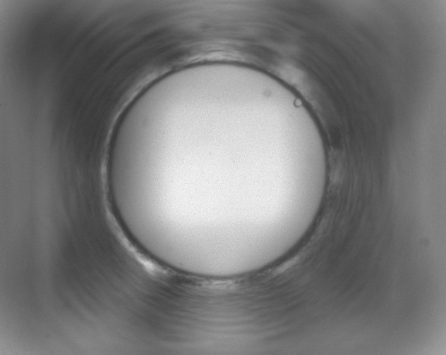 X0000070241282200606020923