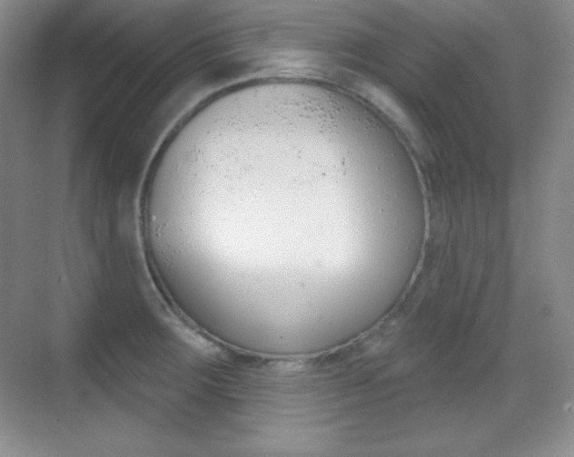 X0000070241283200606020923