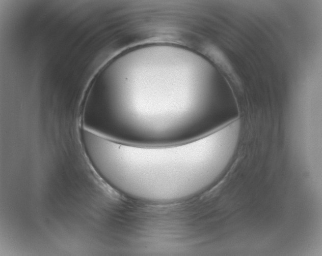 X0000070241284200606020923
