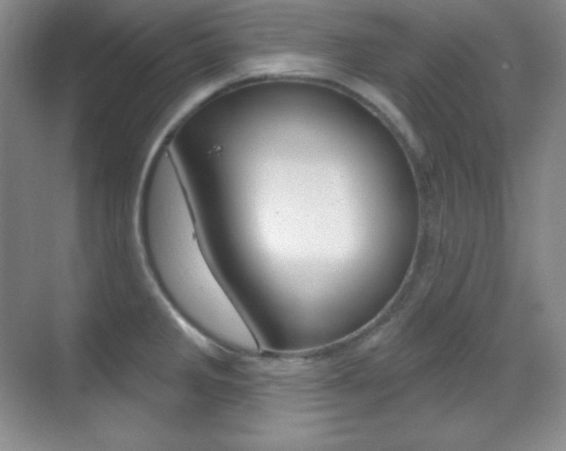 X0000070241285200606020923