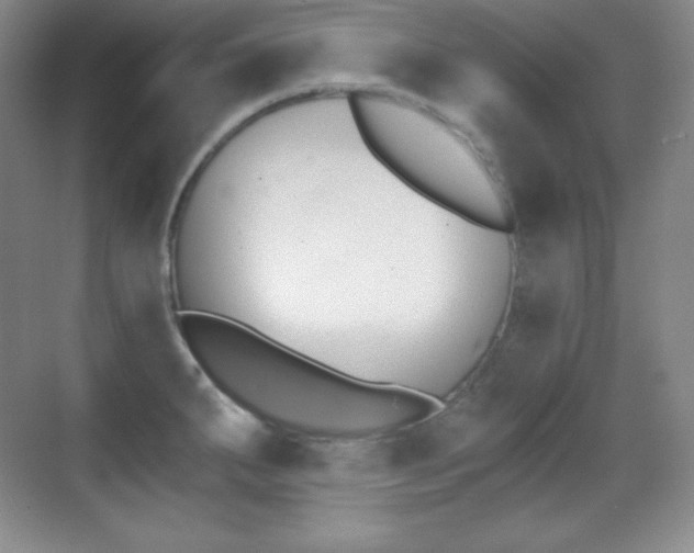 X0000070241287200606020923