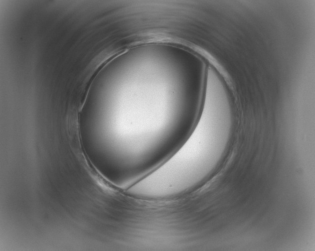 X0000070241289200606020923