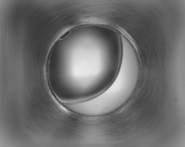 X0000070241293200606020923