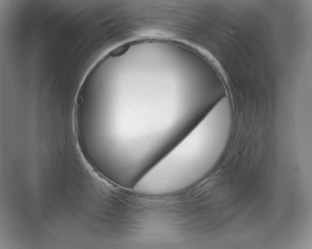 X0000070241295200606020923