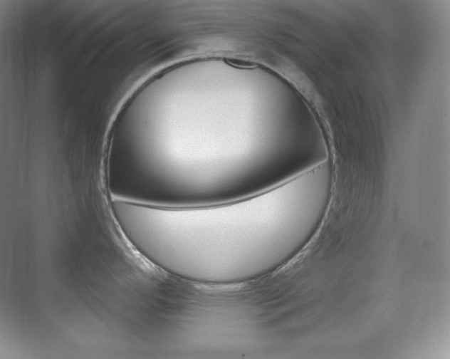 X0000070241296200606020923