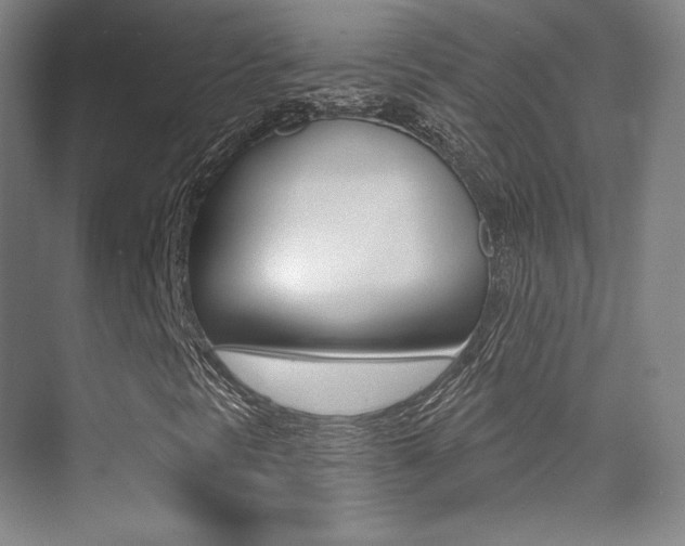 X0000070241297200606020922