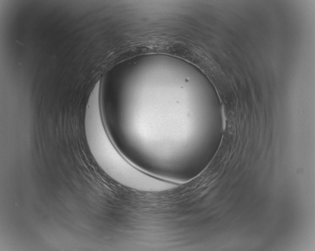 X0000070241298200606020922
