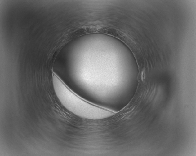 X0000070241299200606020922