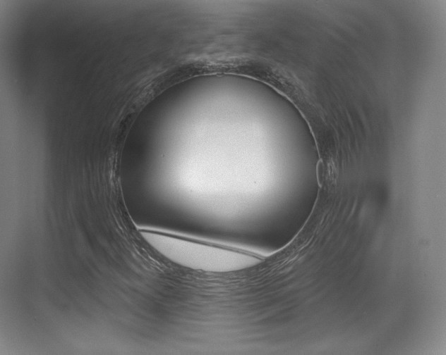 X0000070241300200606020922