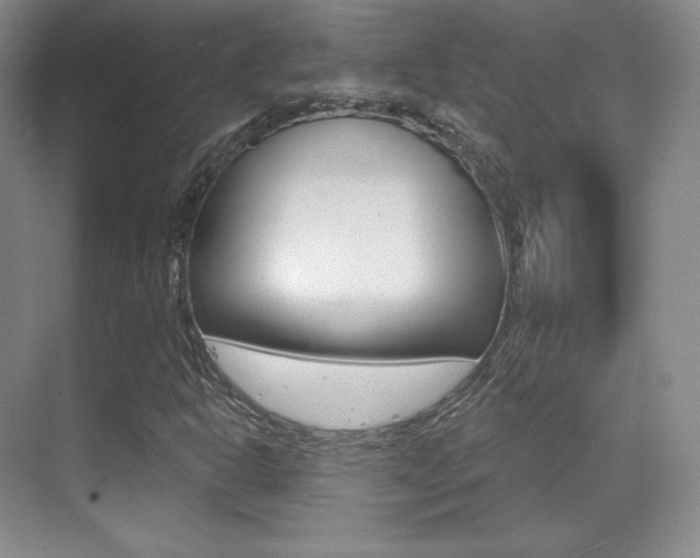 X0000070241302200606020922