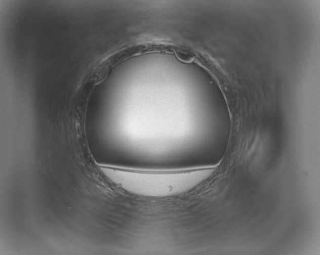 X0000070241303200606020922