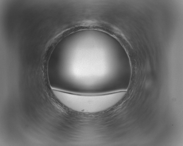 X0000070241304200606020922