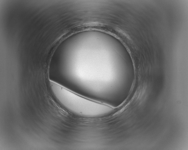 X0000070241305200606020922