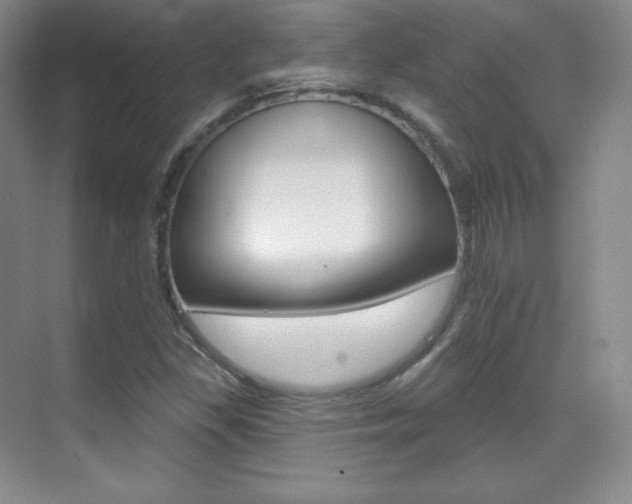 X0000070241309200606020922