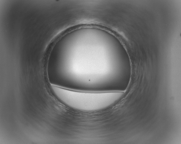 X0000070241311200606020922