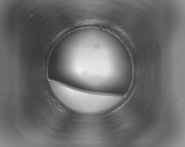 X0000070241313200606020922