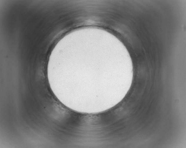 X0000070241314200606020922